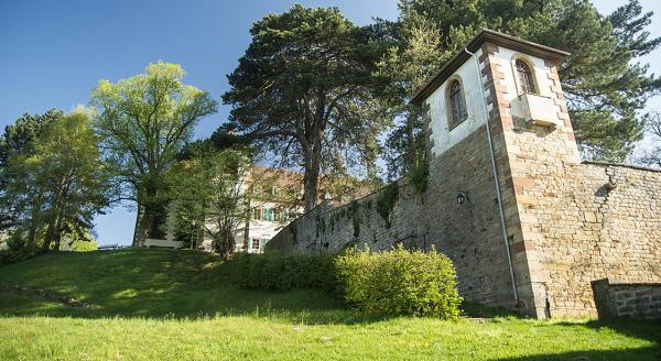 Photo - Château du Liebfrauenberg