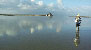 Photo - L'Étoile de la Mer