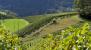 Photo - Accueil Saint Maurice