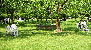 Photo - L'Ermitage accueil